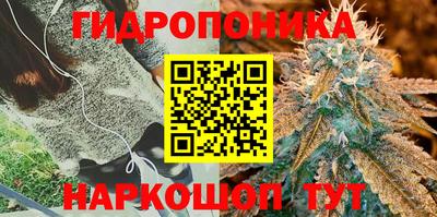 дмт Новодвинск