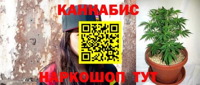 дмт Новодвинск