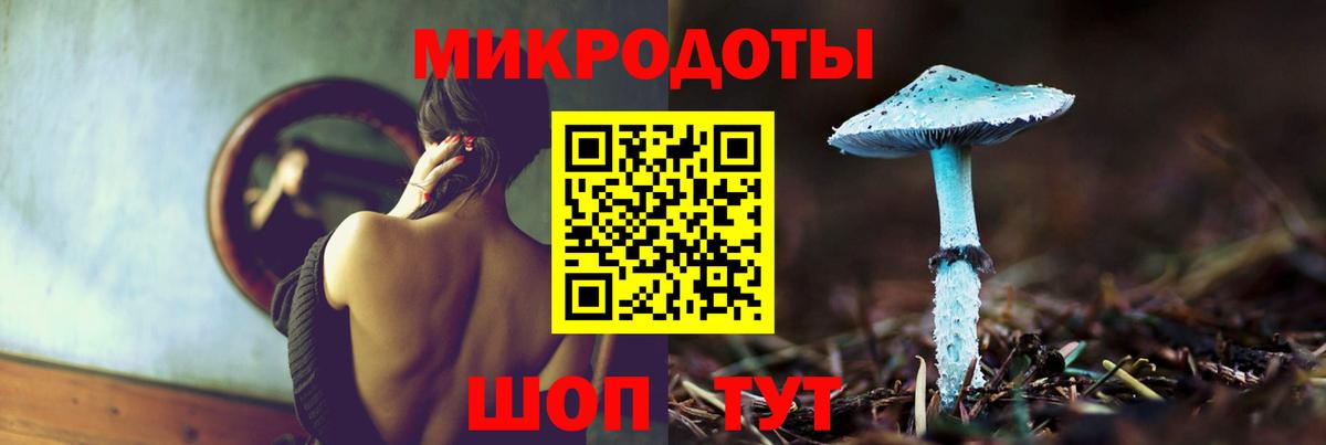 Псилоцибиновые грибы Cubensis Партизанск